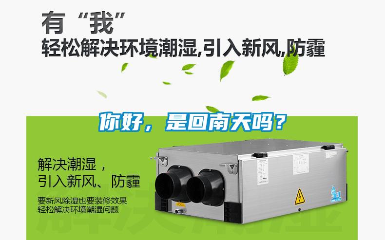 你好，是回南天嗎？