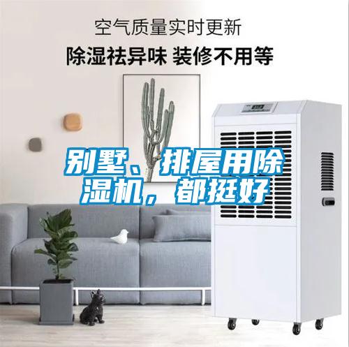 別墅、排屋用除濕機(jī)，都挺好