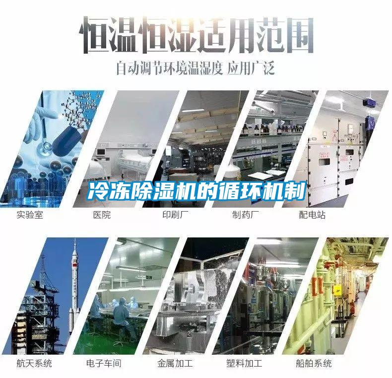 冷凍除濕機的循環(huán)機制