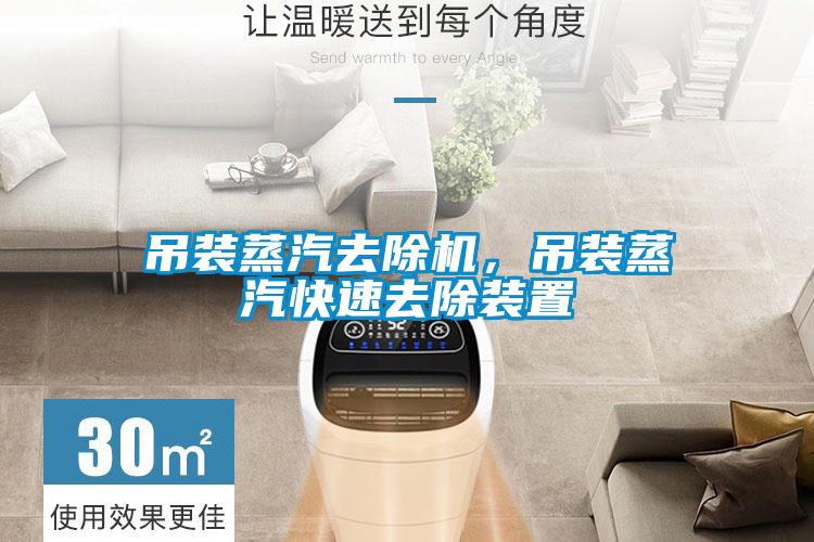 吊裝蒸汽去除機(jī)，吊裝蒸汽快速去除裝置