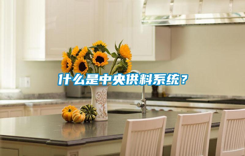 什么是中央供料系統(tǒng)？