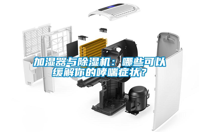 加濕器與除濕機(jī)：哪些可以緩解你的哮喘癥狀？