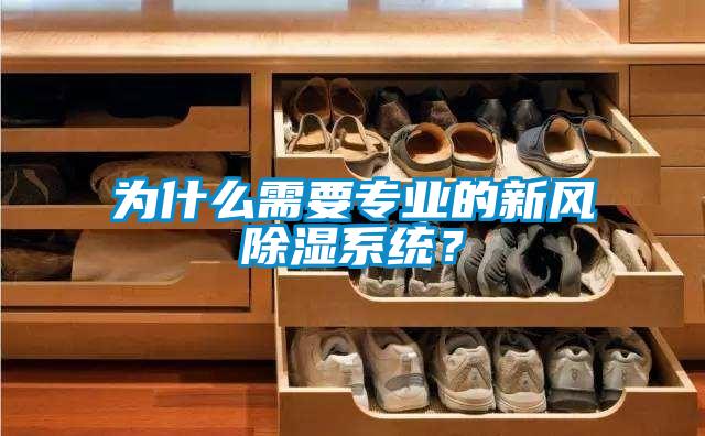 為什么需要專業(yè)的新風(fēng)除濕系統(tǒng)？
