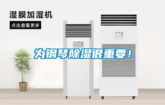 為鋼琴除濕很重要！