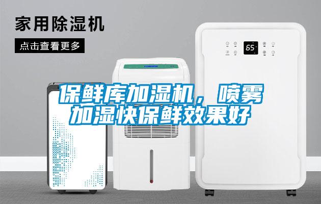 保鮮庫加濕機，噴霧加濕快保鮮效果好