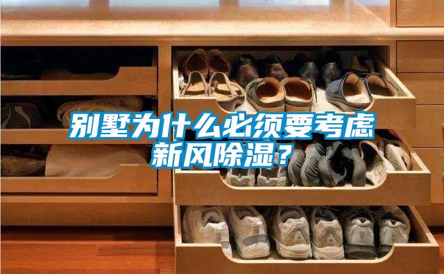 別墅為什么必須要考慮新風(fēng)除濕？