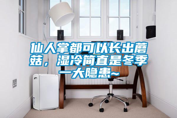 仙人掌都可以長(zhǎng)出蘑菇，濕冷簡(jiǎn)直是冬季一大隱患~