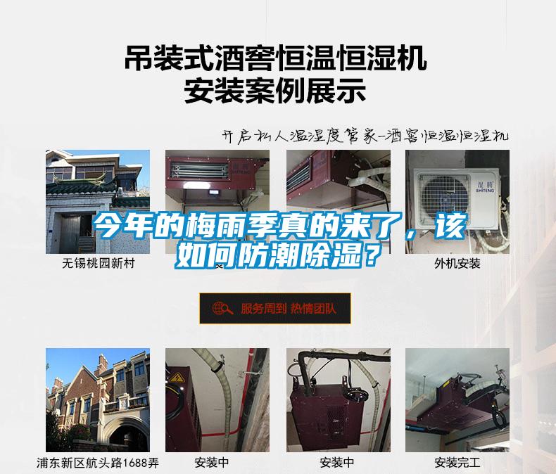 今年的梅雨季真的來(lái)了，該如何防潮除濕？