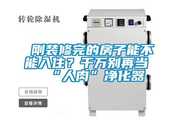 剛裝修完的房子能不能入??？千萬別再當“人肉”凈化器