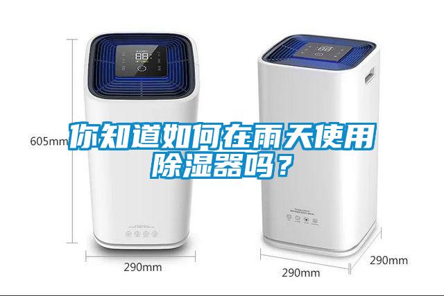你知道如何在雨天使用除濕器嗎？