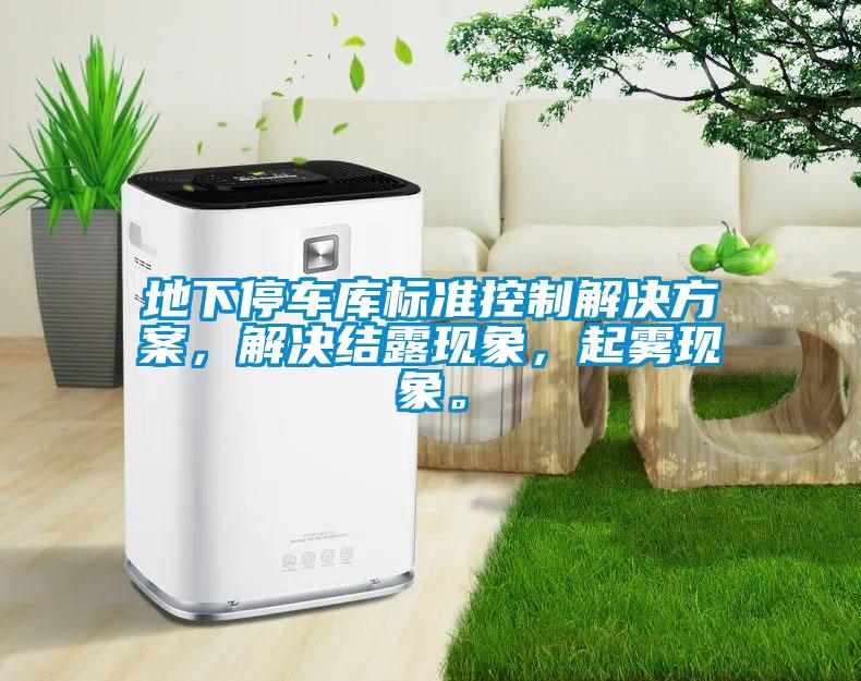 地下停車庫標(biāo)準(zhǔn)控制解決方案，解決結(jié)露現(xiàn)象，起霧現(xiàn)象。