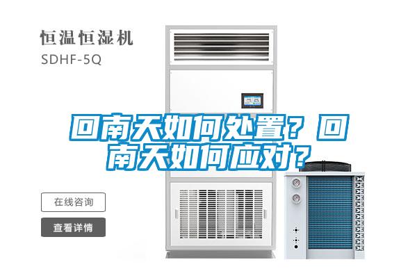 回南天如何處置？回南天如何應對？