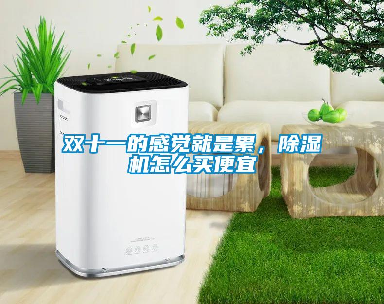 雙十一的感覺就是累，除濕機(jī)怎么買便宜