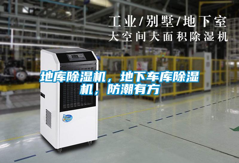 地庫(kù)除濕機(jī)，地下車(chē)庫(kù)除濕機(jī)，防潮有方