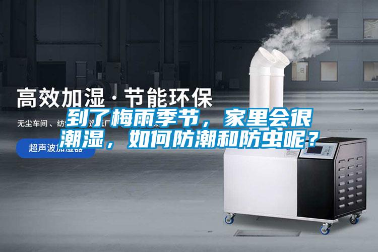 到了梅雨季節(jié)，家里會(huì)很潮濕，如何防潮和防蟲(chóng)呢？