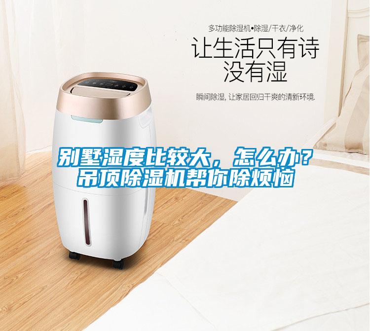 別墅濕度比較大，怎么辦？吊頂除濕機幫你除煩惱