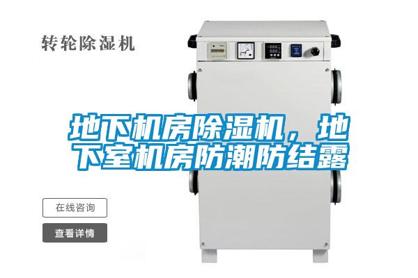 地下機(jī)房除濕機(jī)，地下室機(jī)房防潮防結(jié)露