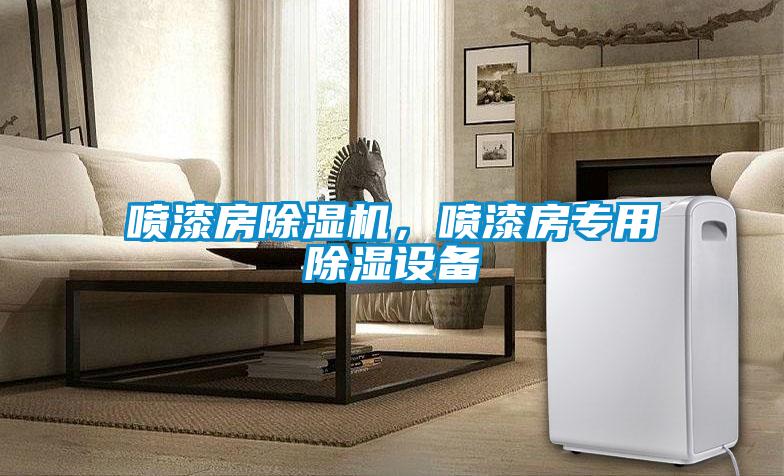 噴漆房除濕機(jī)，噴漆房專用除濕設(shè)備