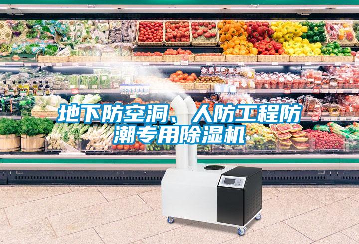 地下防空洞、人防工程防潮專(zhuān)用除濕機(jī)