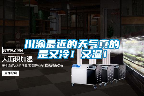 川渝最近的天氣真的是又冷！又濕！