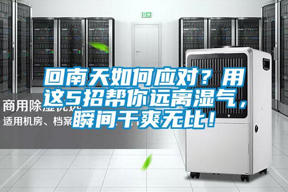 回南天如何應對？用這5招幫你遠離濕氣，瞬間干爽無比！