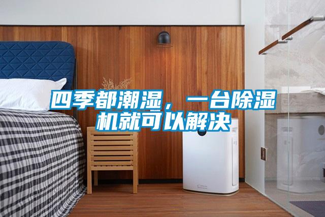 四季都潮濕，一臺除濕機就可以解決