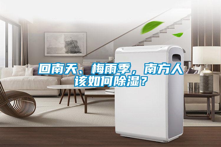 回南天、梅雨季，南方人該如何除濕？