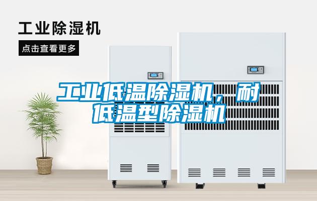 工業(yè)低溫除濕機，耐低溫型除濕機
