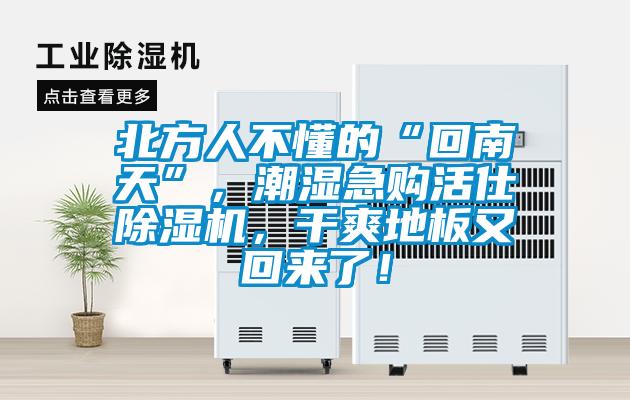 北方人不懂的“回南天”，潮濕急購活仕除濕機(jī)，干爽地板又回來了！