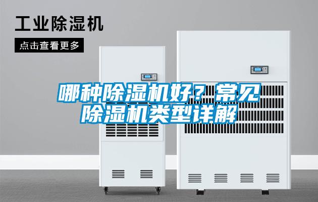 哪種除濕機好？常見除濕機類型詳解