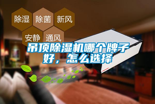 吊頂除濕機(jī)哪個(gè)牌子好，怎么選擇
