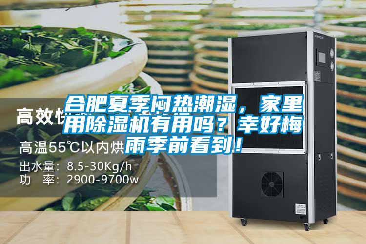 合肥夏季悶熱潮濕，家里用除濕機(jī)有用嗎？幸好梅雨季前看到！
