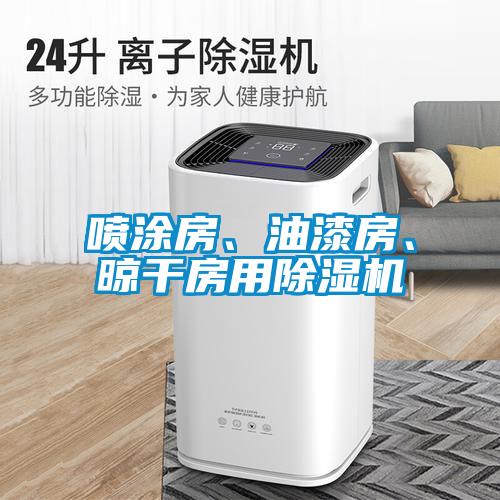 噴涂房、油漆房、晾干房用除濕機
