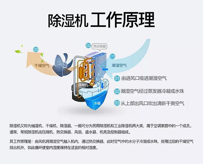南有“濕冷”北有“霧霾”該咋辦？