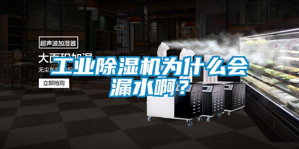 工業(yè)除濕機(jī)為什么會漏水??？