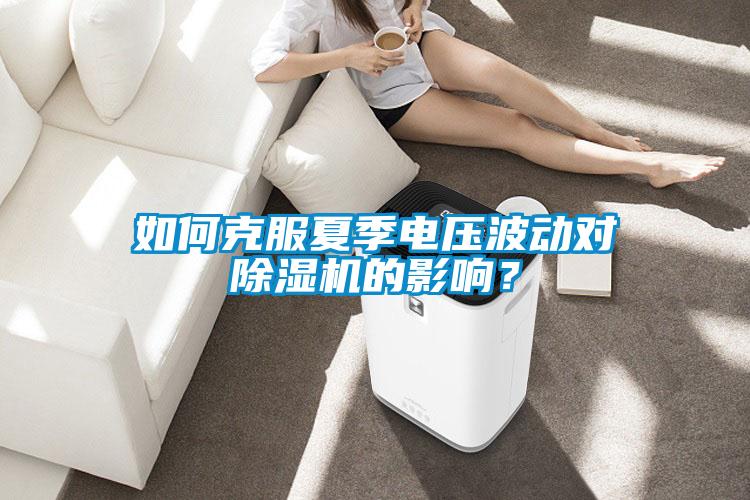如何克服夏季電壓波動對除濕機(jī)的影響？