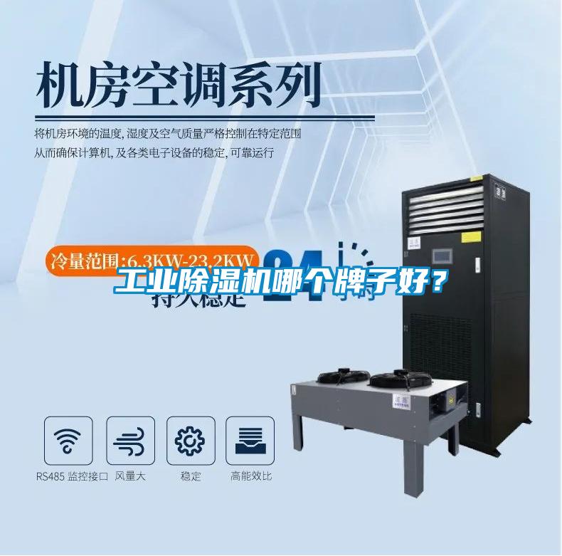 工業(yè)除濕機(jī)哪個(gè)牌子好？