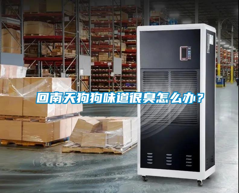 回南天狗狗味道很臭怎么辦？