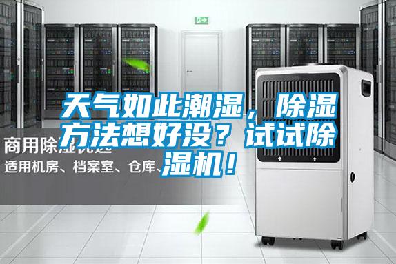 天氣如此潮濕，除濕方法想好沒？試試除濕機！