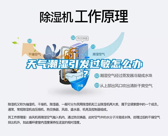 天氣潮濕引發(fā)過(guò)敏怎么辦？