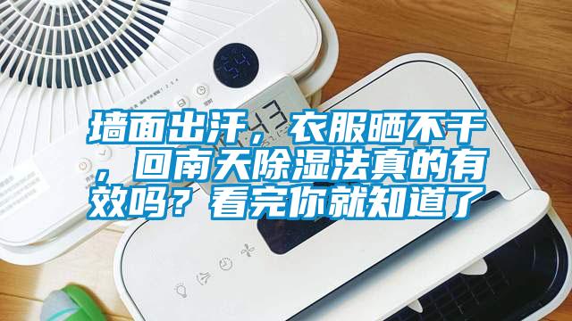 墻面出汗，衣服曬不干，回南天除濕法真的有效嗎？看完你就知道了