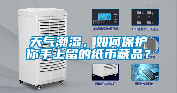 天氣潮濕，如何保護(hù)你手上留的紙幣藏品？