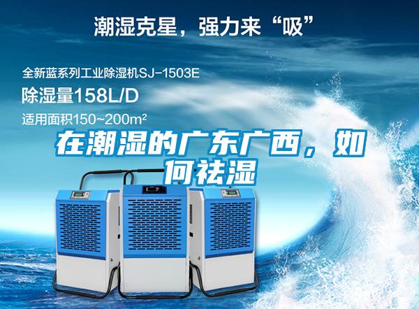 在潮濕的廣東廣西，如何祛濕