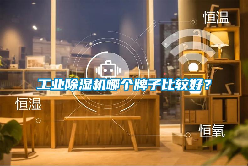 工業(yè)除濕機(jī)哪個(gè)牌子比較好？