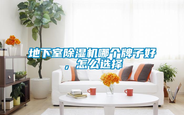 地下室除濕機哪個牌子好，怎么選擇