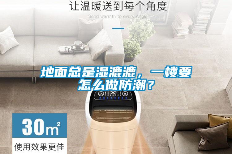 地面總是濕漉漉，一樓要怎么做防潮？