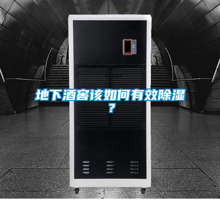 地下酒窖該如何有效除濕？