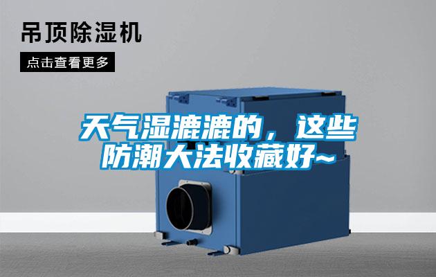 天氣濕漉漉的，這些防潮大法收藏好~