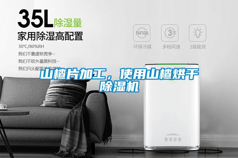 山楂片加工，使用山楂烘干除濕機