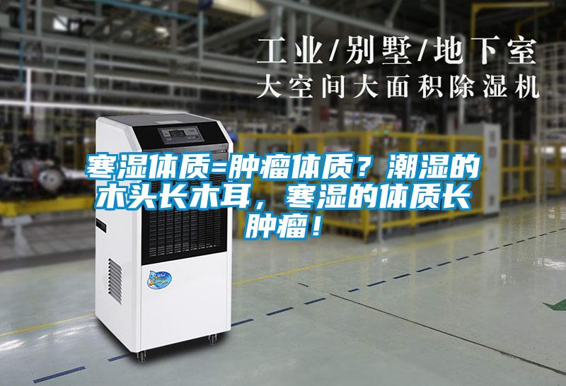 寒濕體質(zhì)=腫瘤體質(zhì)？潮濕的木頭長木耳，寒濕的體質(zhì)長腫瘤！